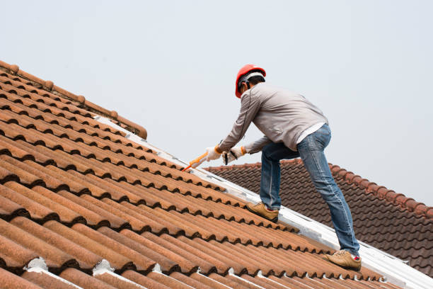 Best Skylight Installation and Repair  in Bee Ridge, FL